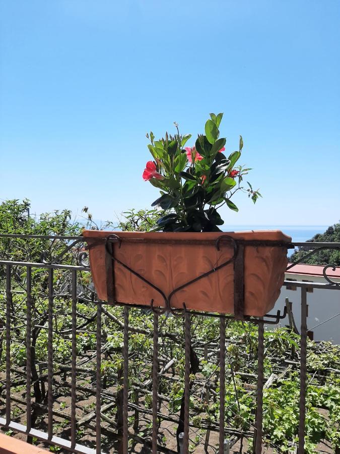 Appartement Casa Almary à Amalfi Extérieur photo